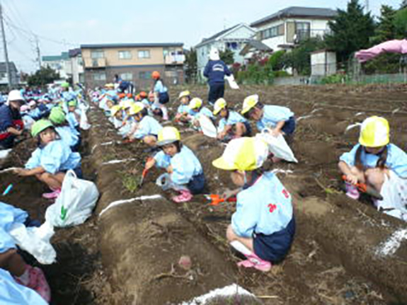 4つの農園