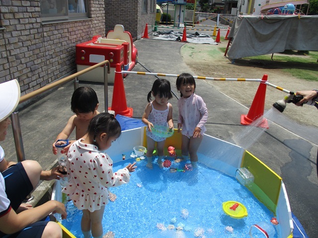たんぽぽぐみ
