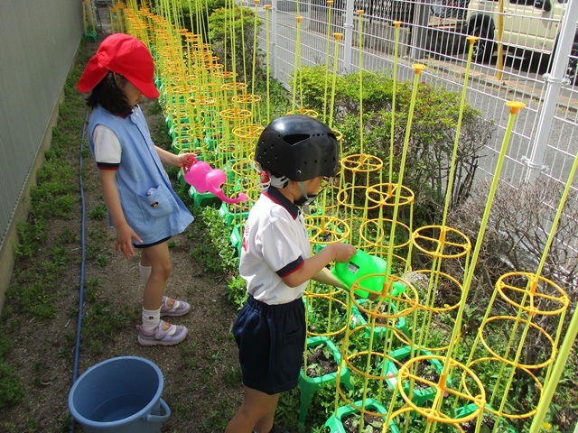 ほしぐみ
