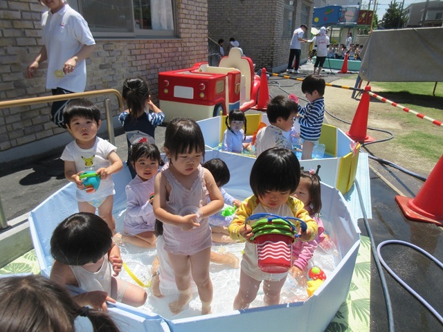 たんぽぽぐみ